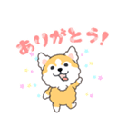 毎日コロ助（個別スタンプ：1）