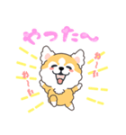毎日コロ助（個別スタンプ：5）