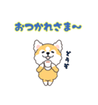 毎日コロ助（個別スタンプ：6）