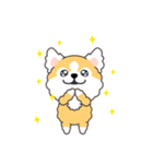 毎日コロ助（個別スタンプ：8）