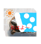 はーちゃんのかめいっぱいスタンプ2（個別スタンプ：1）