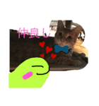 はーちゃんのかめいっぱいスタンプ2（個別スタンプ：3）