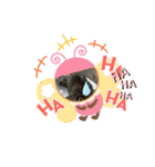 はーちゃんのかめいっぱいスタンプ2（個別スタンプ：4）
