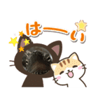 はーちゃんのかめいっぱいスタンプ2（個別スタンプ：14）