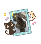 はーちゃんのかめいっぱいスタンプ2（個別スタンプ：15）