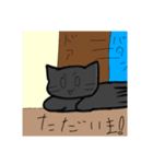 すべりこむくろねこのスタンプ（個別スタンプ：3）