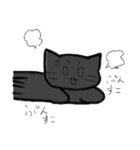 すべりこむくろねこのスタンプ（個別スタンプ：9）