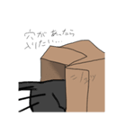 すべりこむくろねこのスタンプ（個別スタンプ：13）