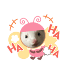 フェレットのかわいい顔（個別スタンプ：3）