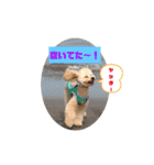 Pスタイル5（個別スタンプ：2）