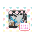 Pスタイル5（個別スタンプ：3）