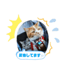 Pスタイル5（個別スタンプ：9）