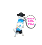 Pスタイル5（個別スタンプ：11）