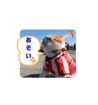 Pスタイル5（個別スタンプ：13）