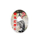 Pスタイル5（個別スタンプ：20）