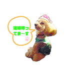 Pスタイル5（個別スタンプ：24）