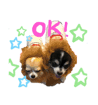 ぴーちゃんだよよろしくねん（個別スタンプ：1）