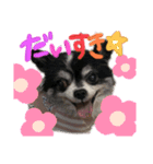 ぴーちゃんだよよろしくねん（個別スタンプ：6）