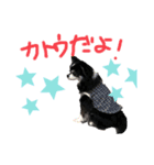 ぴーちゃんだよよろしくねん（個別スタンプ：8）
