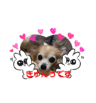 Moca's STAMP byWatchi（個別スタンプ：1）
