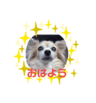 Moca's STAMP byWatchi（個別スタンプ：2）