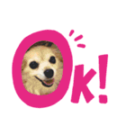 Moca's STAMP byWatchi（個別スタンプ：4）