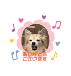 Moca's STAMP byWatchi（個別スタンプ：6）