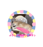 Moca's STAMP byWatchi（個別スタンプ：7）