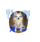 Moca's STAMP byWatchi（個別スタンプ：8）
