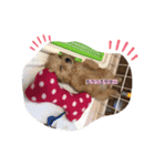 八田家ボスの日常（個別スタンプ：2）