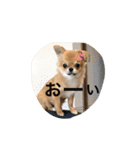 八田家ボスの日常（個別スタンプ：14）