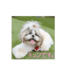 LLH (LOVE LIKE HACHIMITSU) Vol.1（個別スタンプ：4）