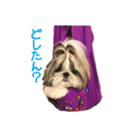 LLH (LOVE LIKE HACHIMITSU) Vol.1（個別スタンプ：11）