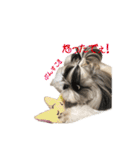 LLH (LOVE LIKE HACHIMITSU) Vol.1（個別スタンプ：14）