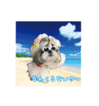 LLH (LOVE LIKE HACHIMITSU) Vol.1（個別スタンプ：20）