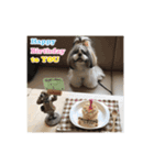 LLH (LOVE LIKE HACHIMITSU) Vol.1（個別スタンプ：22）