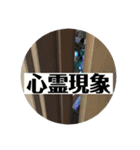 愛犬花7（個別スタンプ：12）