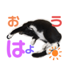 ねこみく（個別スタンプ：2）