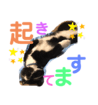 ねこみく（個別スタンプ：5）