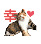 ねこみく（個別スタンプ：7）