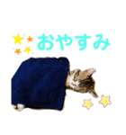 グラくんスタンプ（個別スタンプ：2）