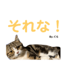 グラくんスタンプ（個別スタンプ：13）