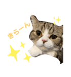 グラくんスタンプ（個別スタンプ：16）