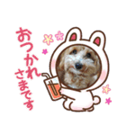 もちラテベルベル（個別スタンプ：3）