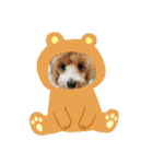もちラテベルベル（個別スタンプ：6）