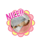 もちラテベルベル（個別スタンプ：7）