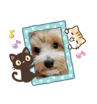 もちラテベルベル（個別スタンプ：8）