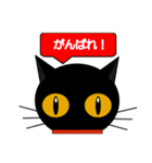 black cat tete 日常会話編（個別スタンプ：31）