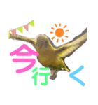 あやばなな（個別スタンプ：1）