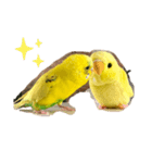 あやばなな（個別スタンプ：7）
